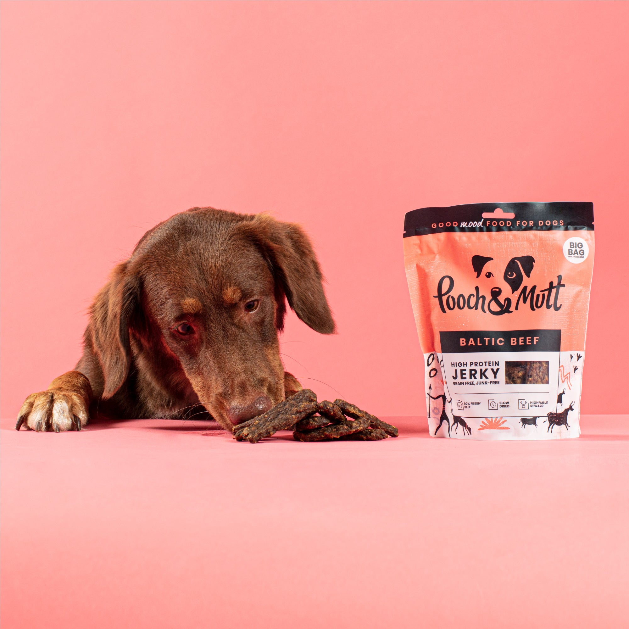 Five Low Calorie Dog Treats That Are Perfect to Use in Food