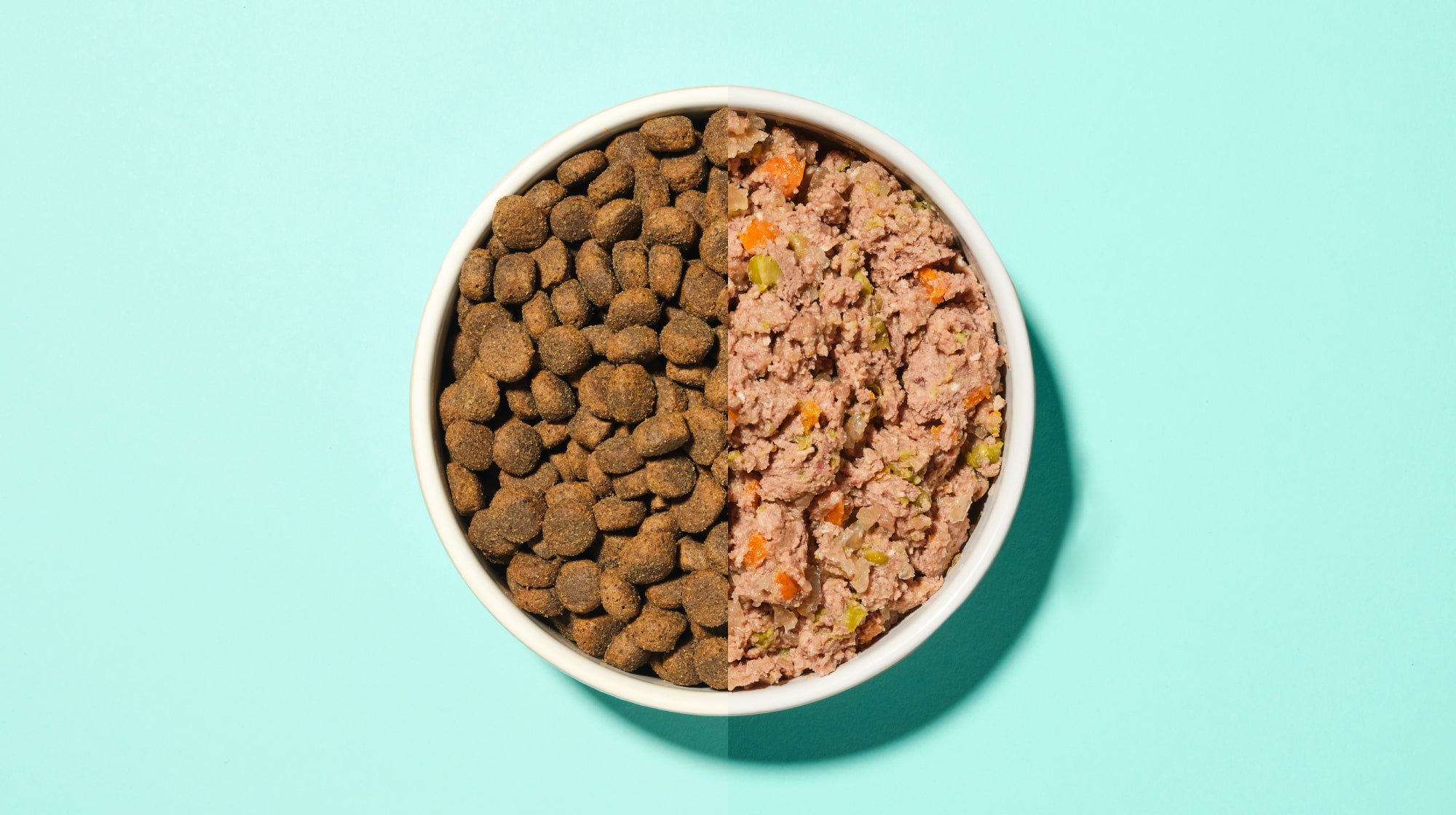 a dog bowl showing half wet food and half dry food on a blue background