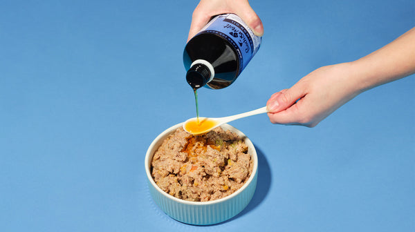 Pooch & Mutt's Salmon Oil being poured from the bottle onto a spoon, with a bowl of dog food below, against a blue background