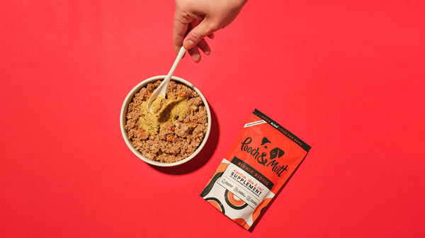 Our Bionic Biotic powder supplement, sprinked over a bowl of dog food, on a red background