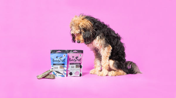 A long-haired black and brown dog, next to our fish chews, against a pinky/purple background