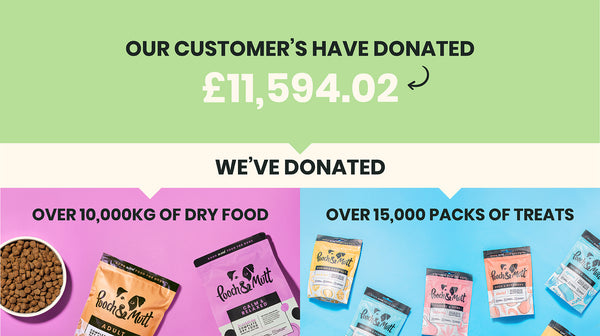 An infographic showing the top three statistics that show how Pooch & Mutt have helped the Woodgreen charity including raising £11,594.02, donating over 10,000kg of dry food, and donating over 15,000 packs of treats