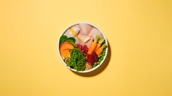 A dog bowl filled with chicken, lots of coloured vegetables, and a supplement pill, against a yellow background