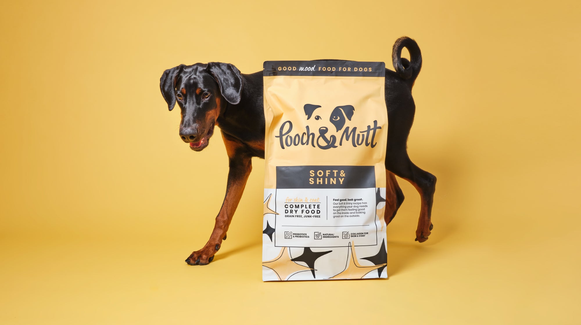 doberman dog next a bag of dry dog food on a yellow background
