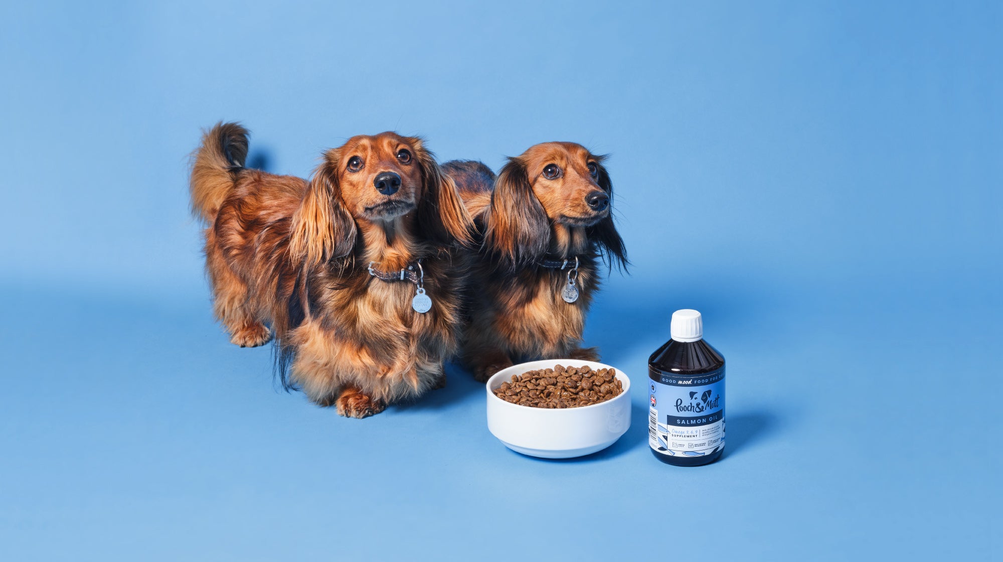 do dogs need mineral supplements