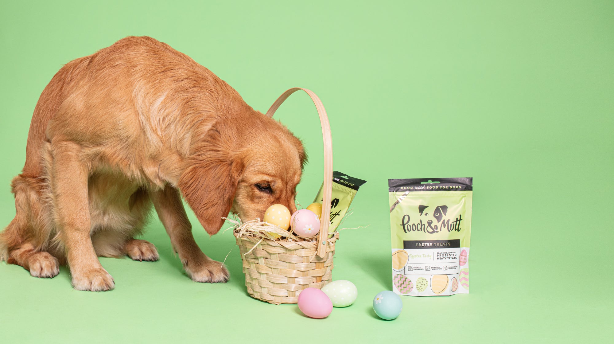 dog with head in an easter basket