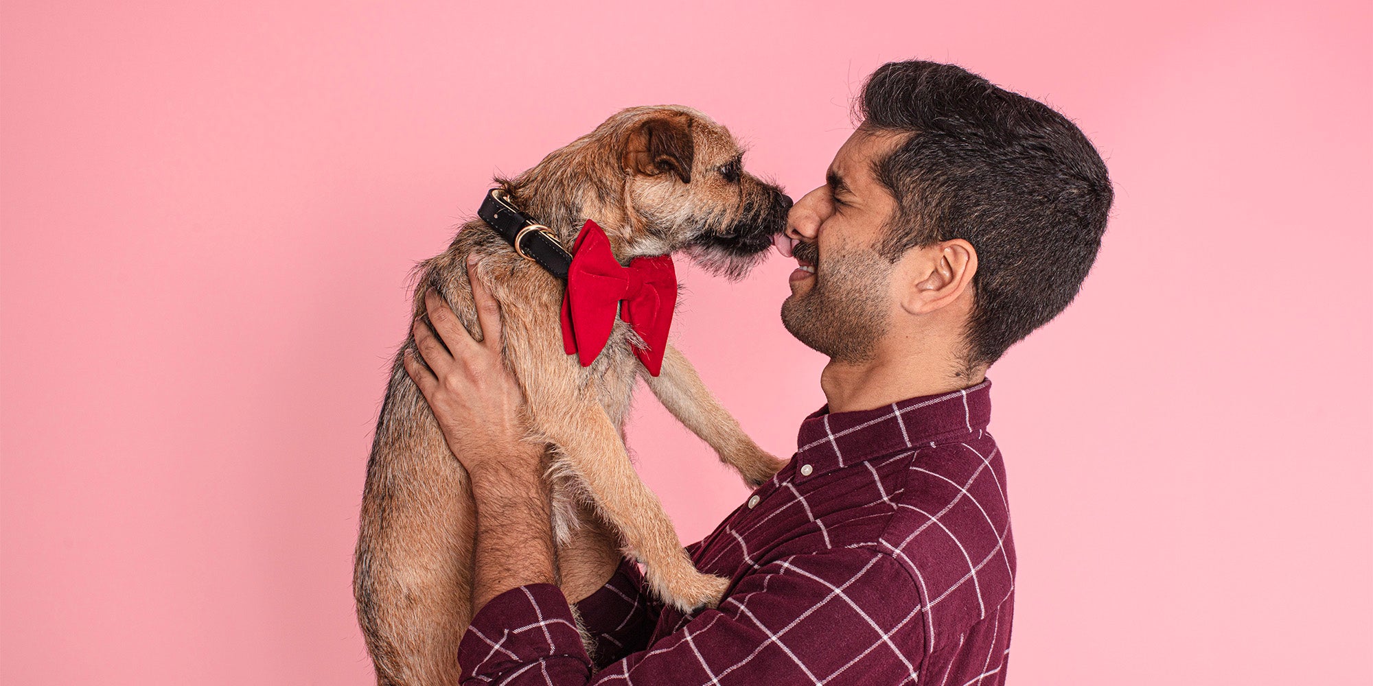 A dark-haired man in a red check shirt, holding  and looking at his golden short-haired dog in a red bow tie, against a pink background
