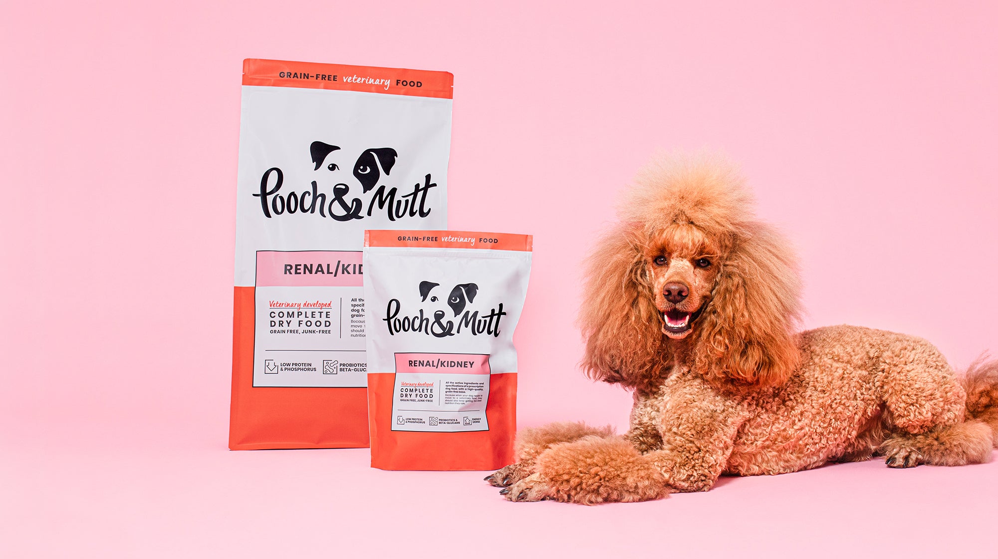 A tan coloured Poodle with a bobble in its hair, lay down next to Pooch & Mutt Kidney Food packages, against a pale pink background