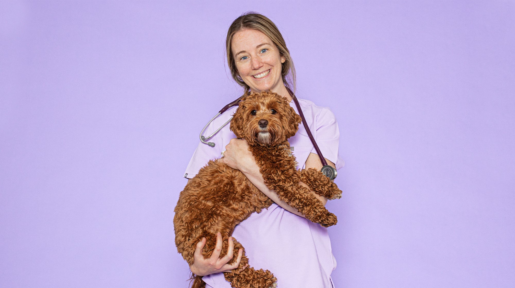 Our Pooch & Mutt vet, Vet Linda, in lilac scrubs, holding a tan coloured curly dog, against a lilac coloured background