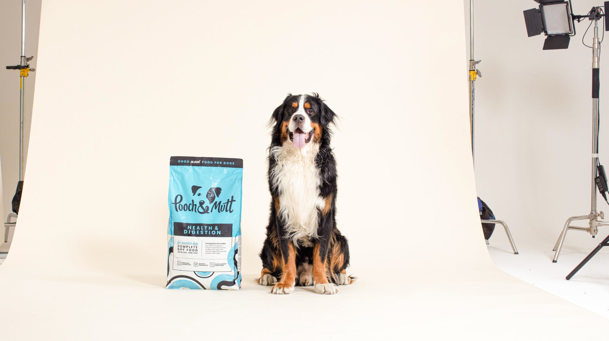 A black, brown, and white dog, sat next to a bag of Pooch & Mutt Health & Digestion food, on a photography set
