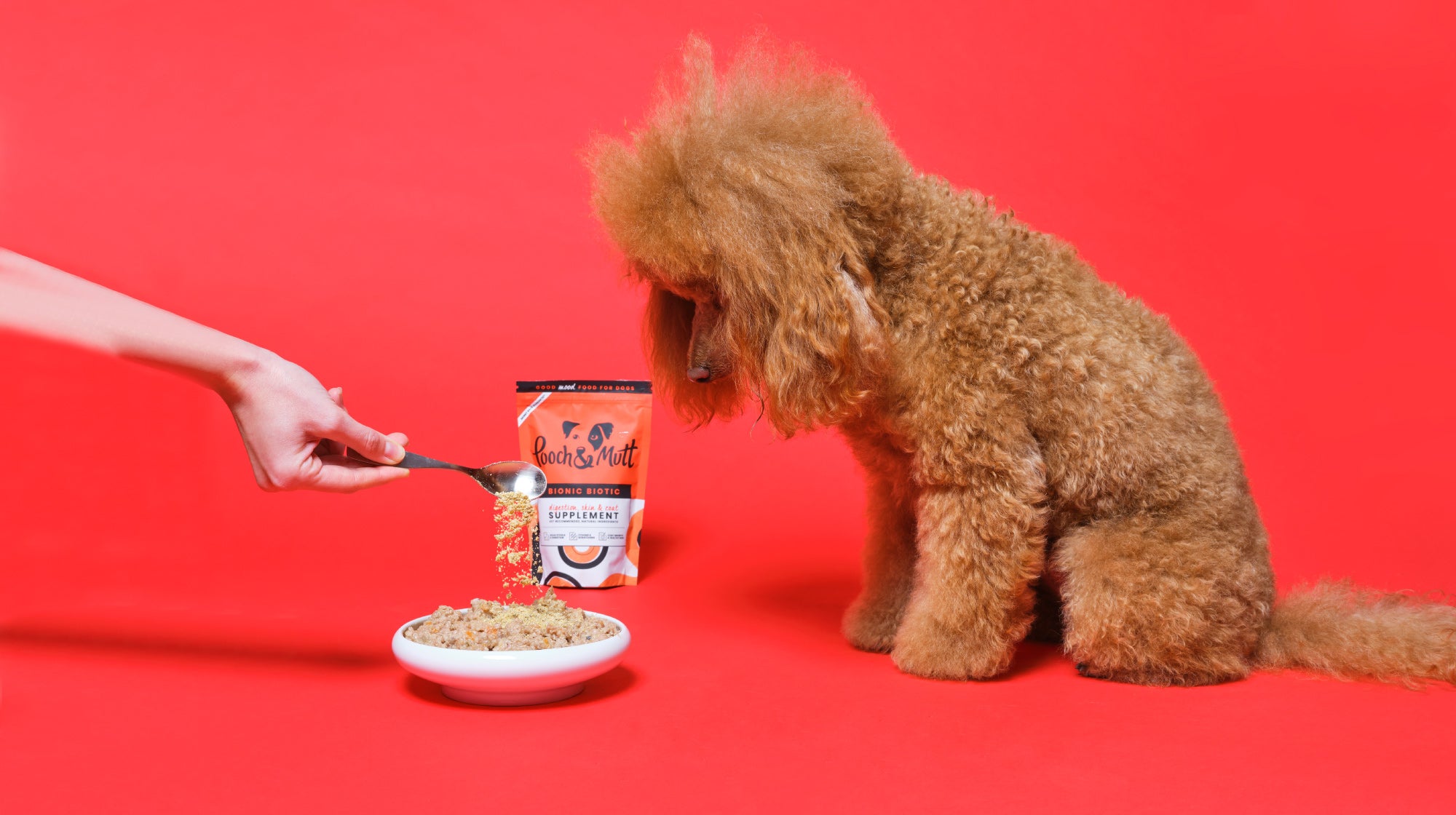 poodle being fed a powdered dog food supplement bionic biotic