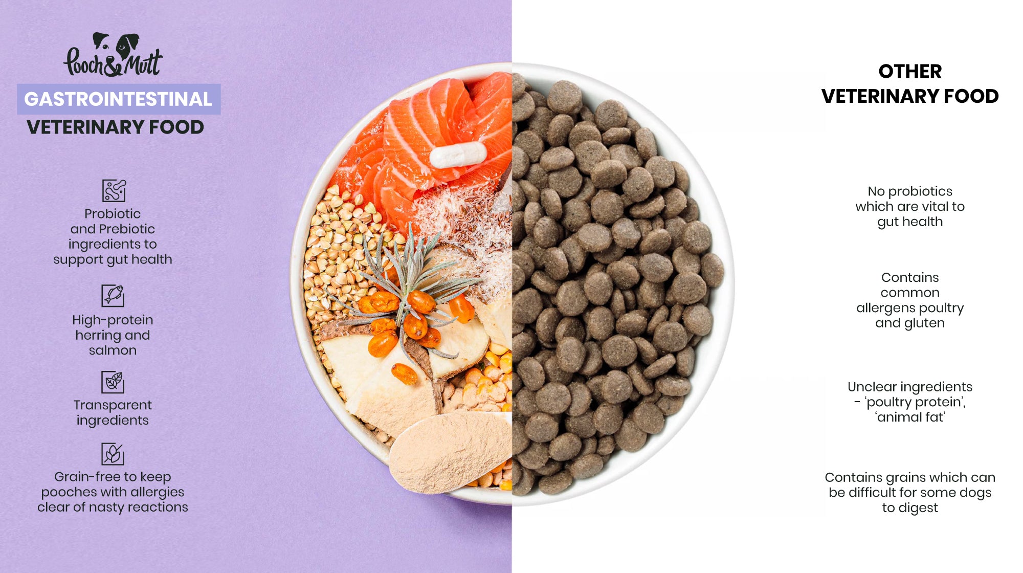 dog food comparison inforgraphic