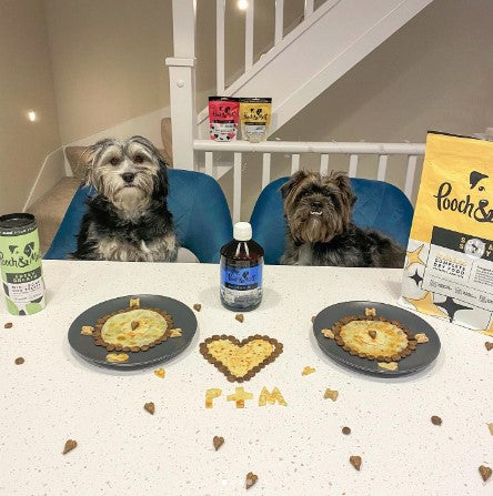 dogs sat at a table about to eat pancakes