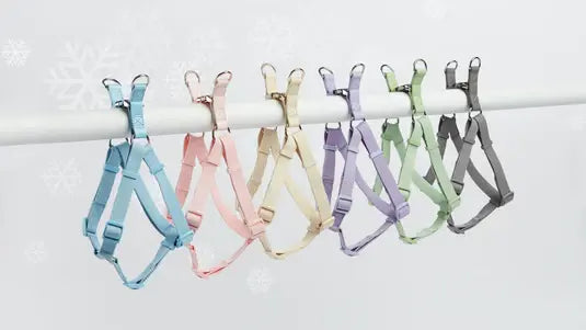 dog harness collection from barc london