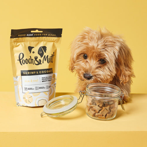 The Puppy Feeding Guide | The Dog Blog | Pooch & Mutt