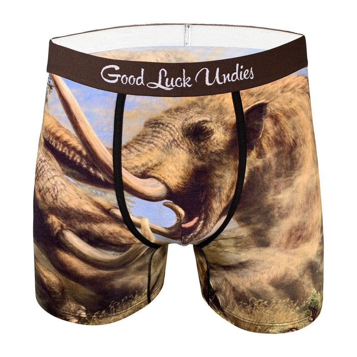 Men's Dinosaur Fossil Layers Underwear