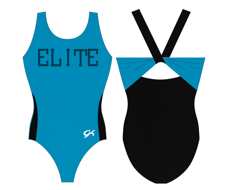 Turquoise Mesh Back Leotard - Training Leos