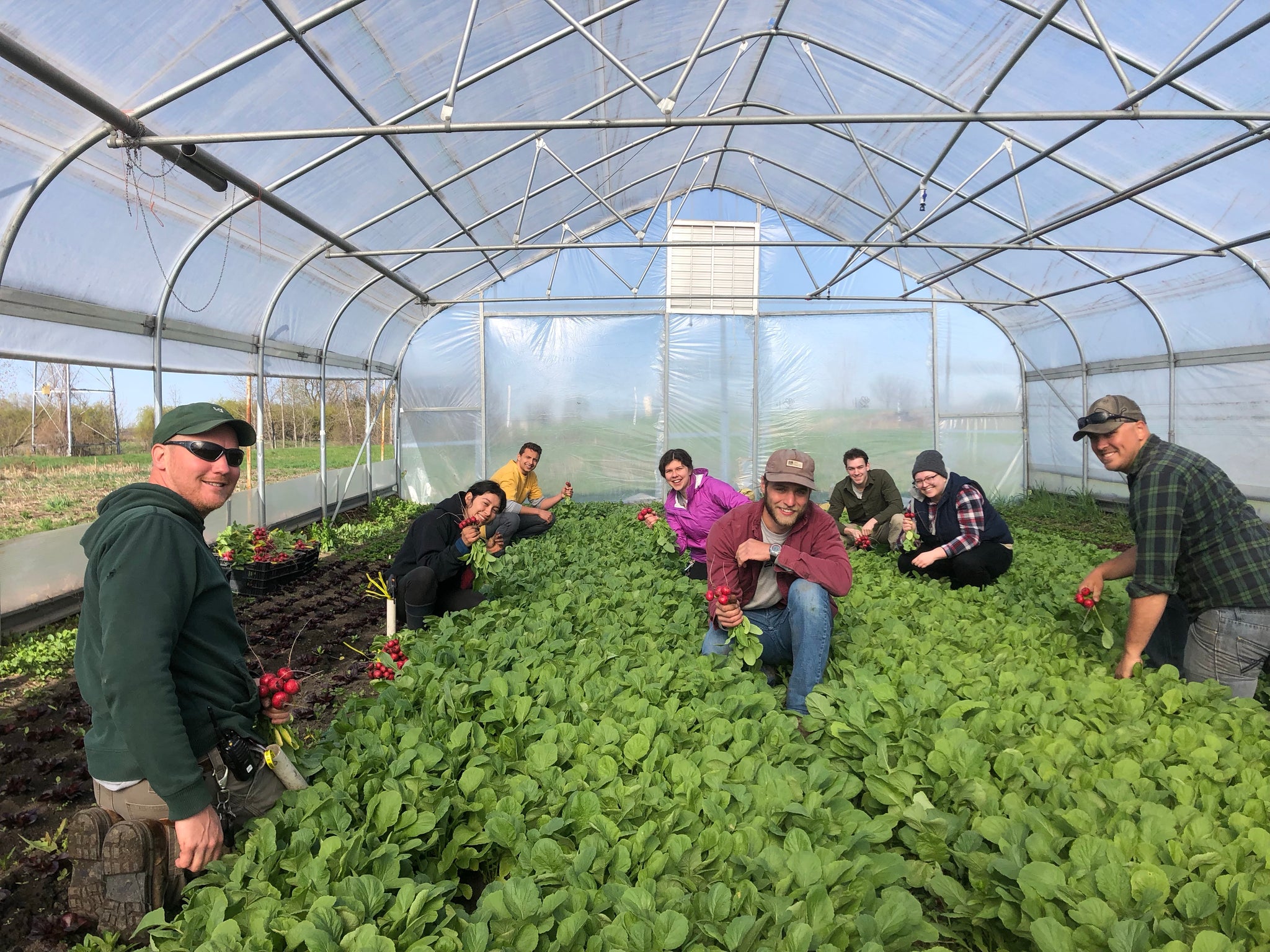 The first spring harvest! Prairie Wind Family Farm