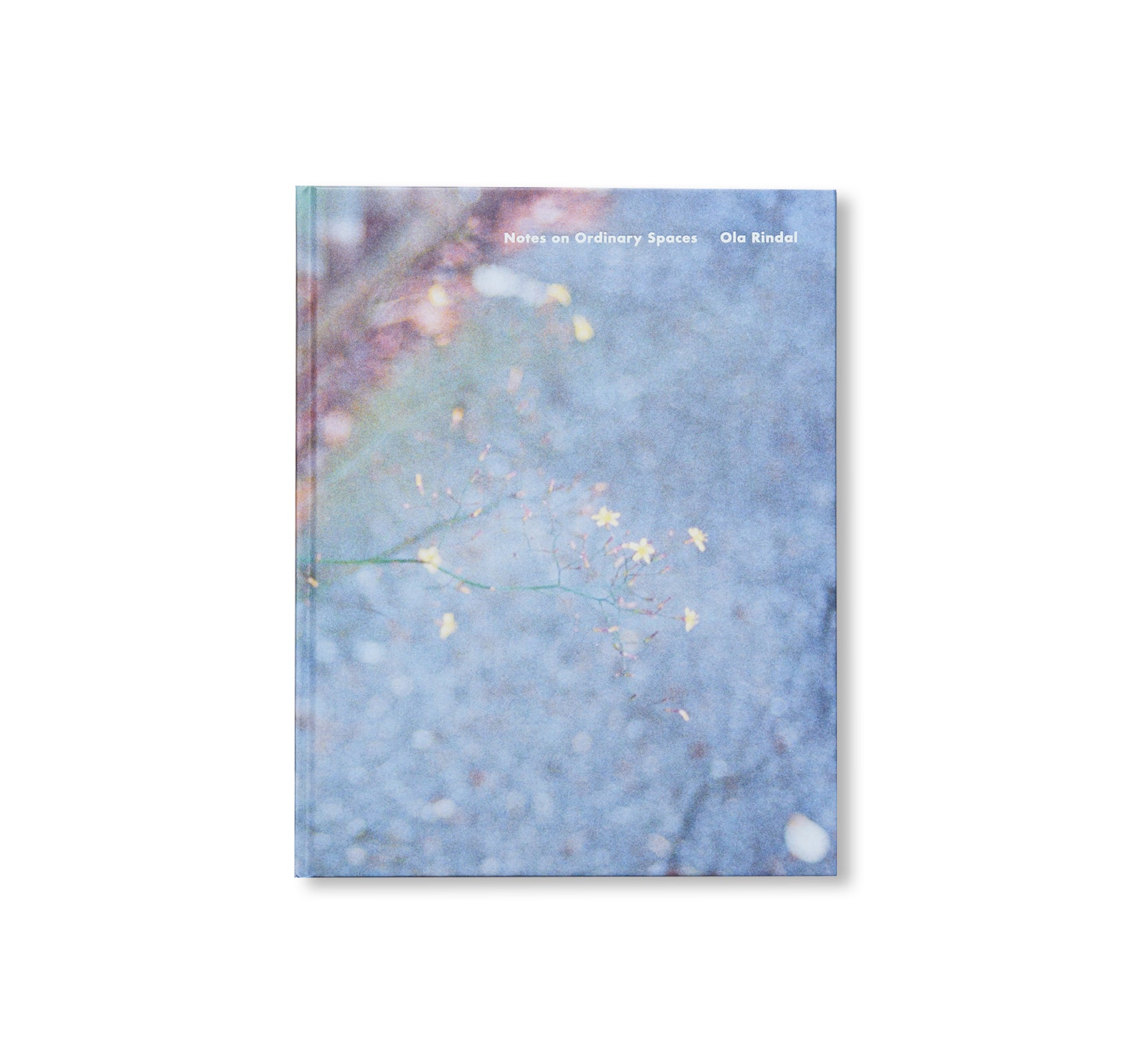 NOTES ON ORDINARY SPACES by Ola Rindal – twelvebooks