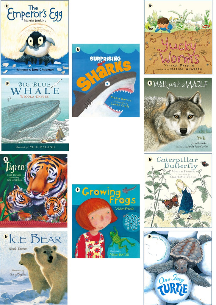 Nature Storybook Collection 10 Storybook Pack Super