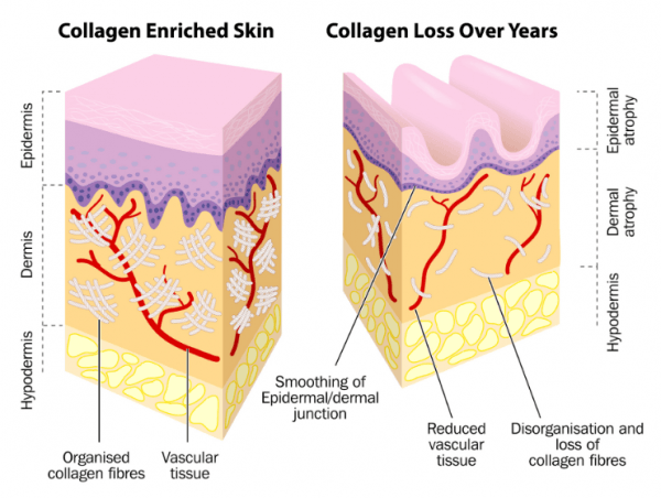 JL Skin Fitness How Do You Get Healthier Clear Skin