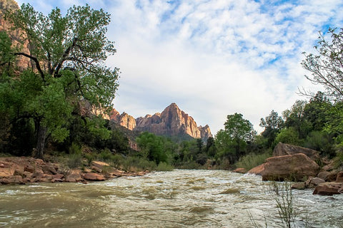 Zion landscape