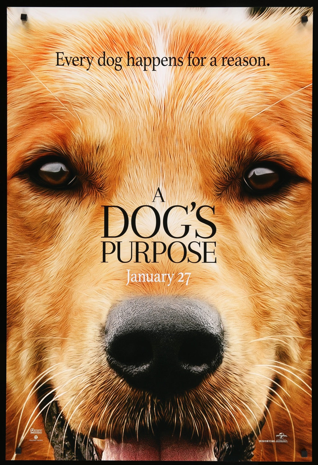 image-dog-purpose