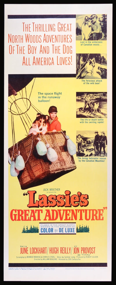 Lassies Great Adventure 1963 Original Insert Movie Poster Original Film Art Vintage Movie 