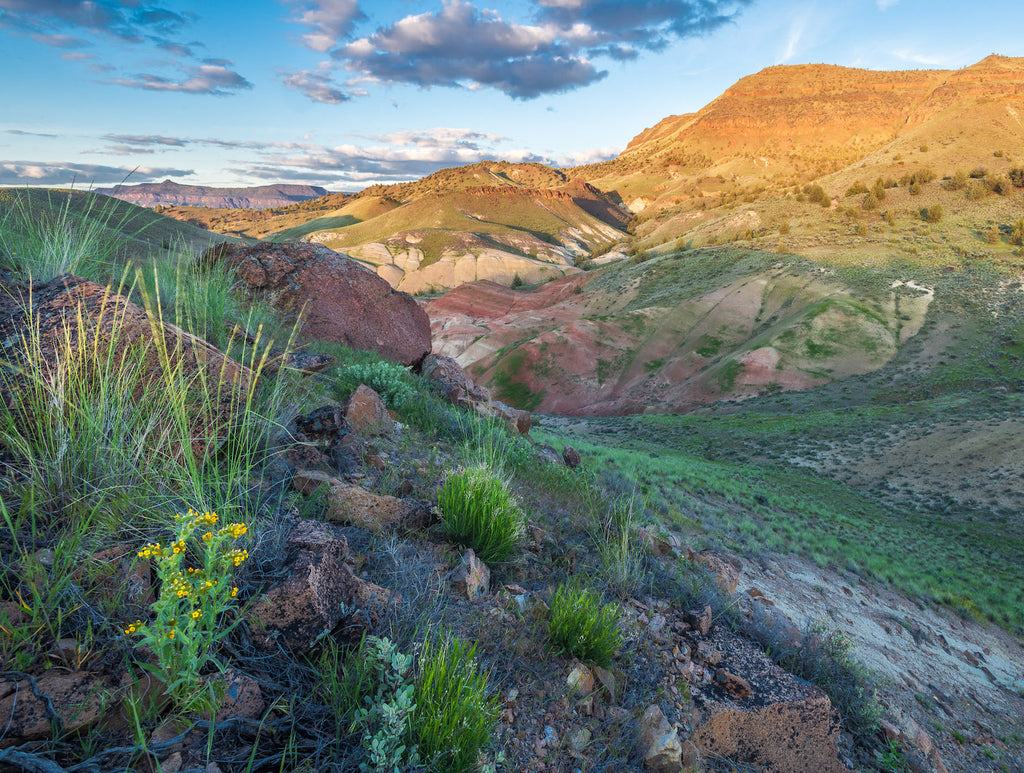 Image of Oregon Sutton Spring landscape in April