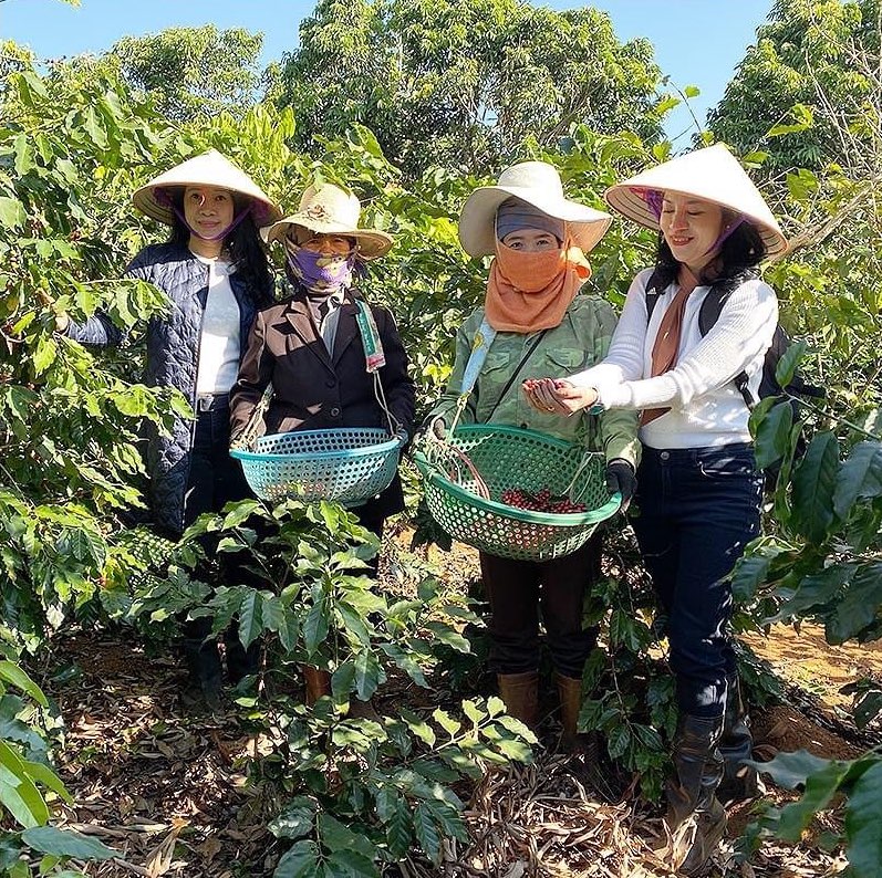 IWCA Vietnam people with coffee beans in field