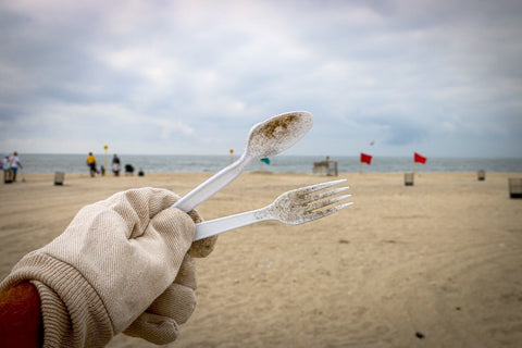 Surfrider Foundation Beach Clean-up Plastic Fork and Spoon