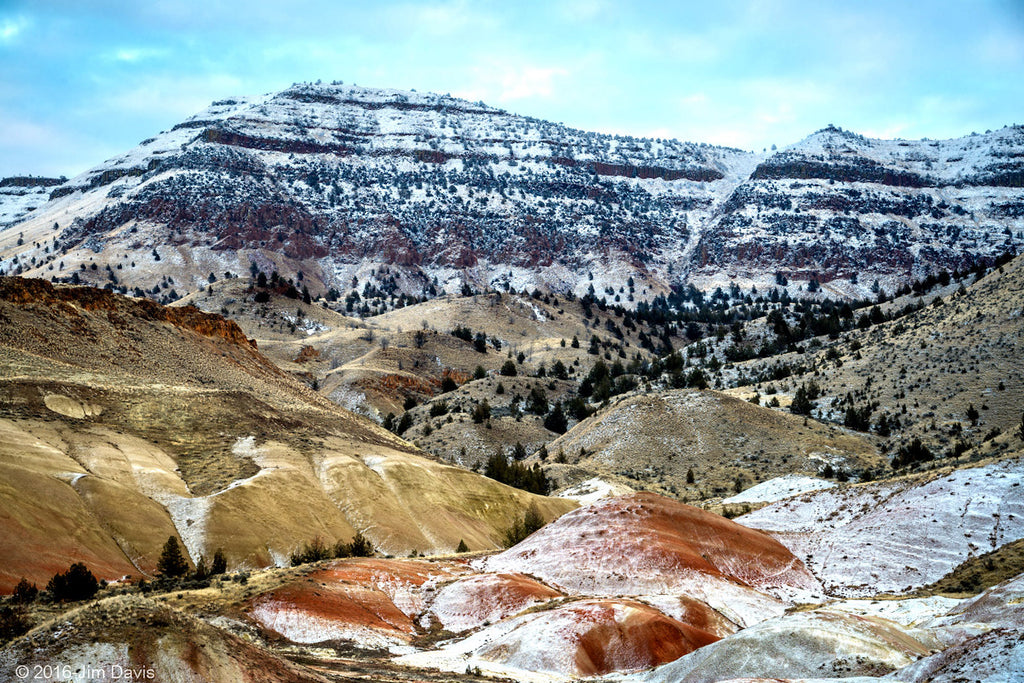 Landscape image of Sutton winter