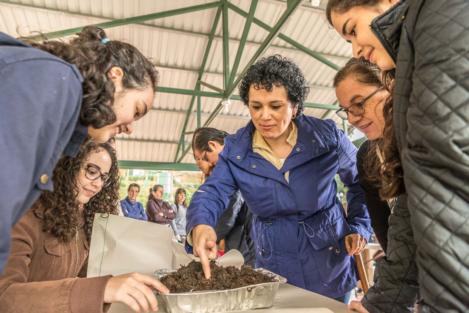 Bean Voyage Teaching Looking At Soil