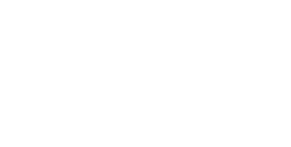 New Standard French Press