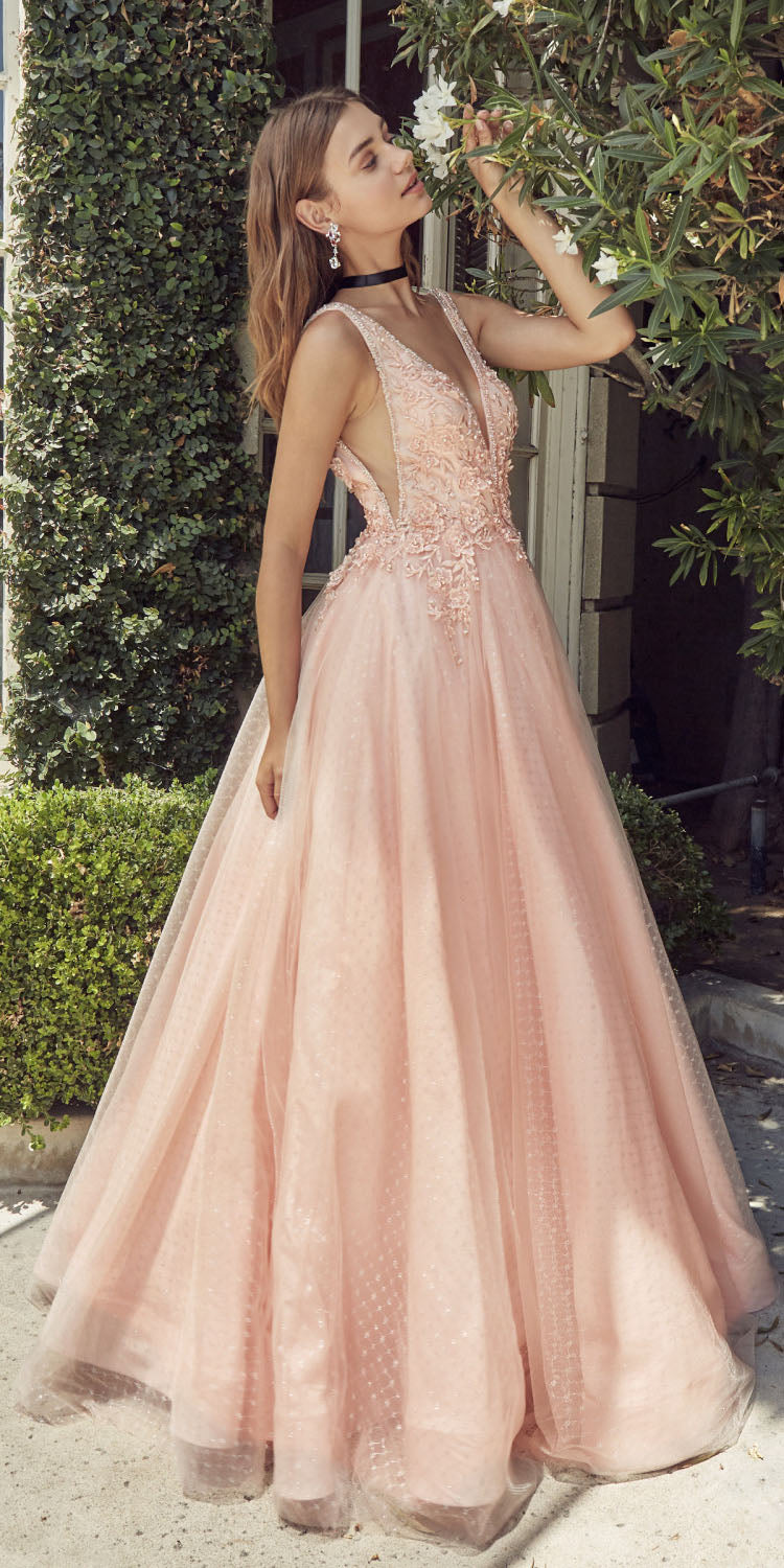 sheer plunge neck ball gown