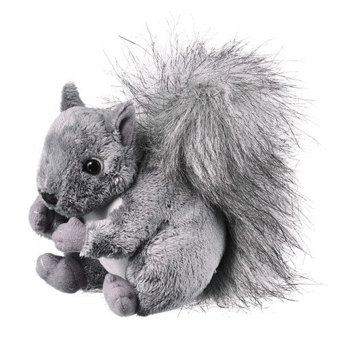 stuffed black squirrel