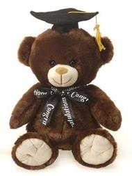 teddy bear dark brown