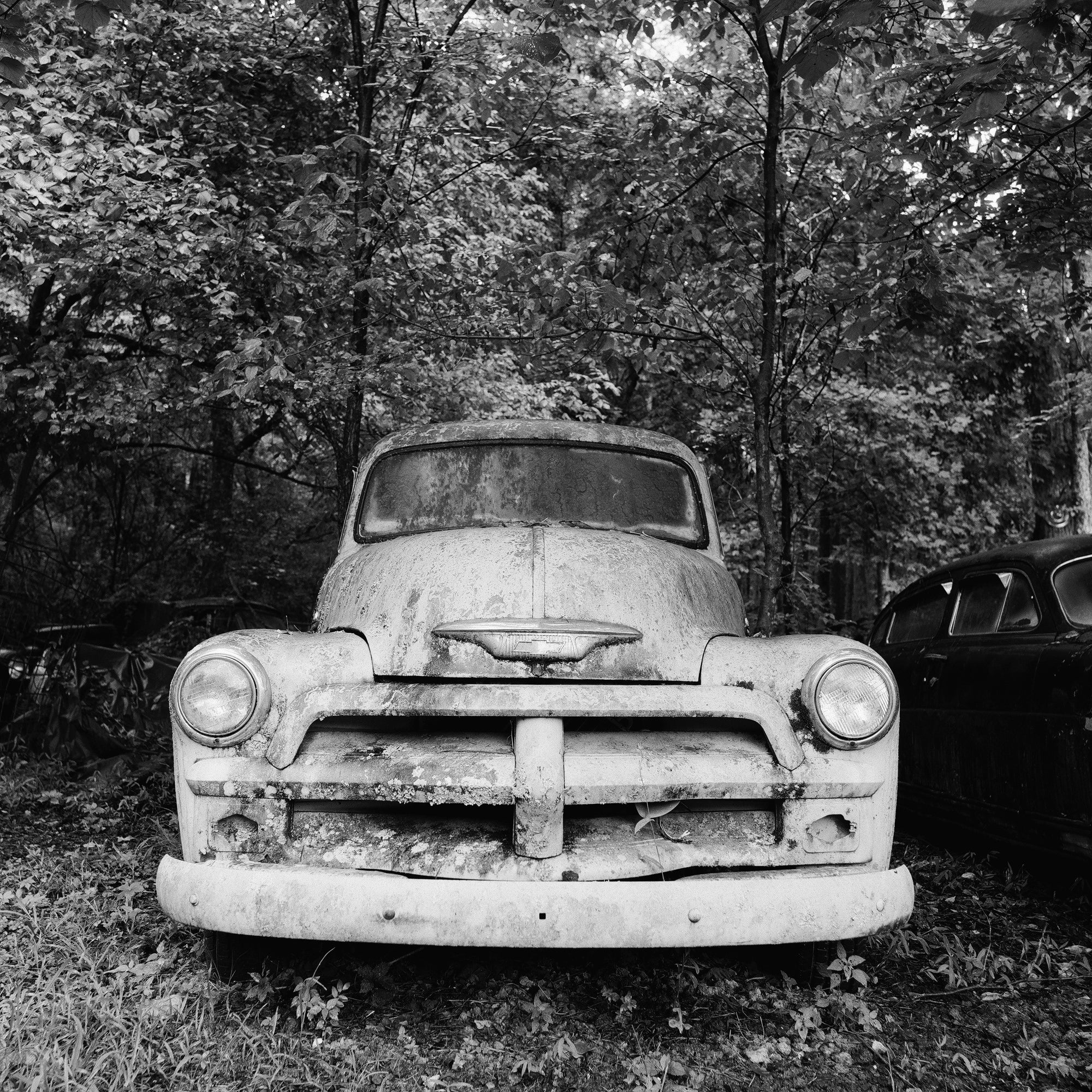 The Ghost - Pale Antique Truck in a Dark Forest - Black and White Photograph by Keith Dotson. Buy a print here.