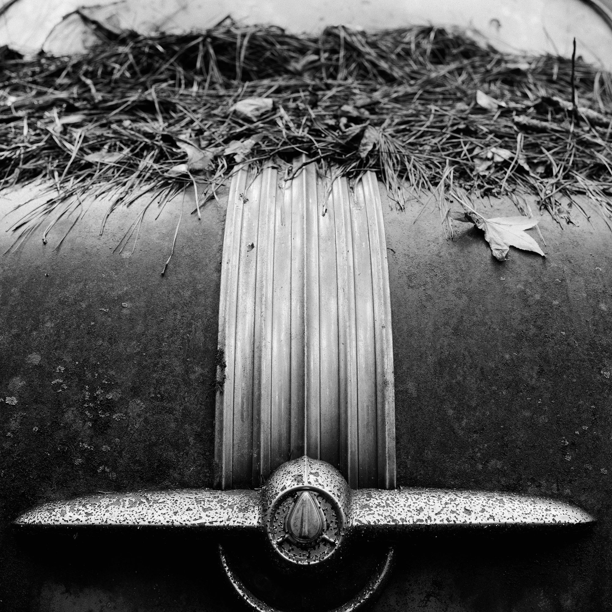 Ornament on Back of a Classic Car in a Junkyard - Black and White Photograph