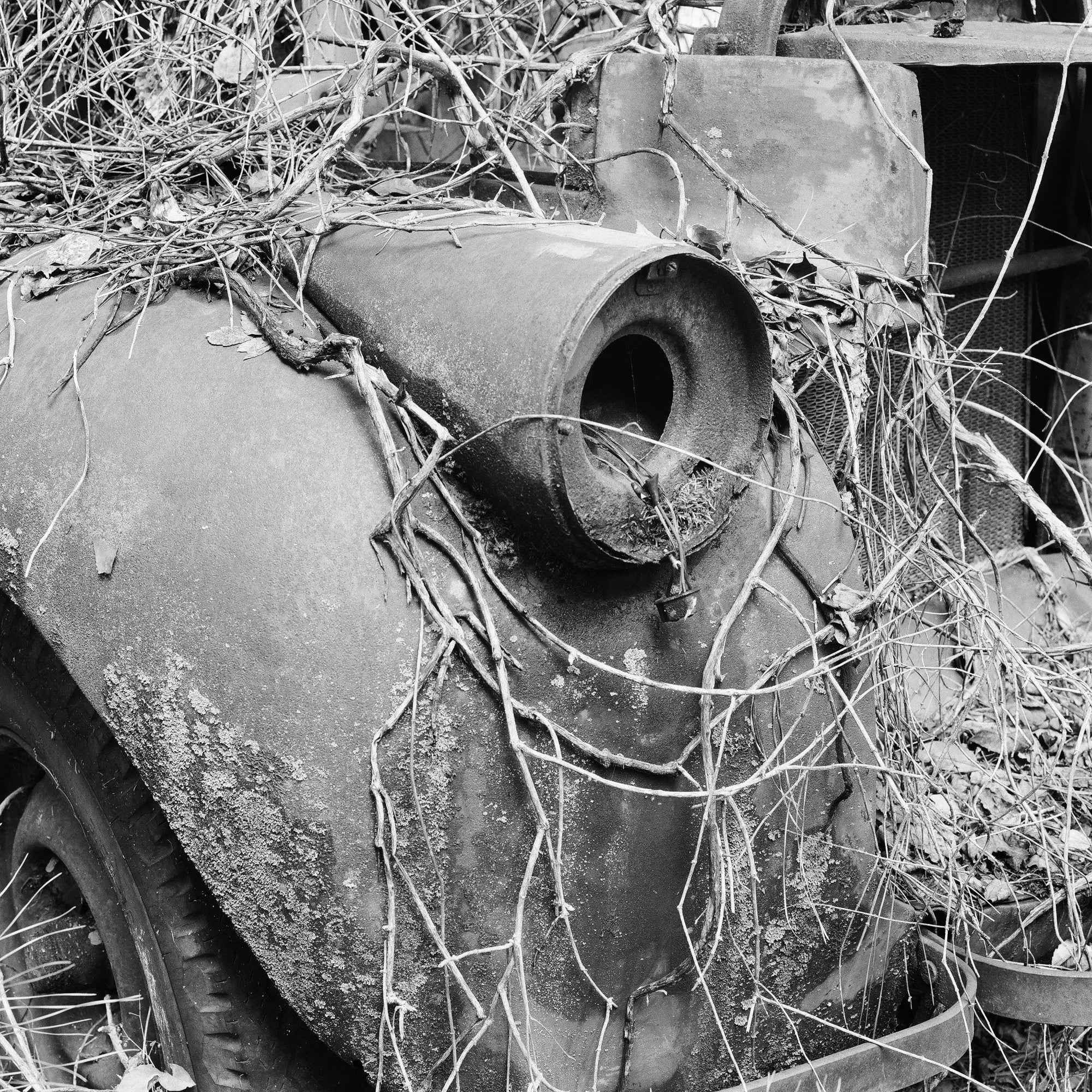 Junkyard Truck with Dead Vines - Black and White Photograph by Keith Dotson. Buy a print.