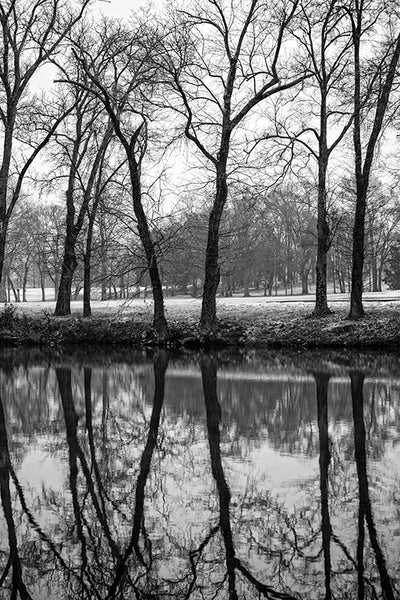 Trees Reflecting in a River in Winter, by Keith Dotson. Buy a fine art print.