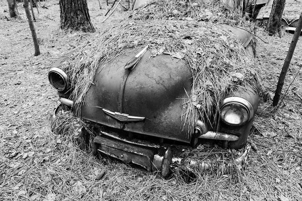 Black And White Photographs Of Classic Cars Turning To Rust