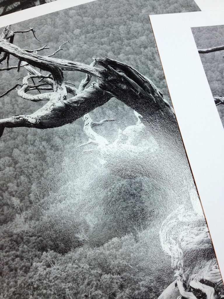 This photograph illustrates the texture and surface glare of Canson Platine Fiber Rage photo paper.