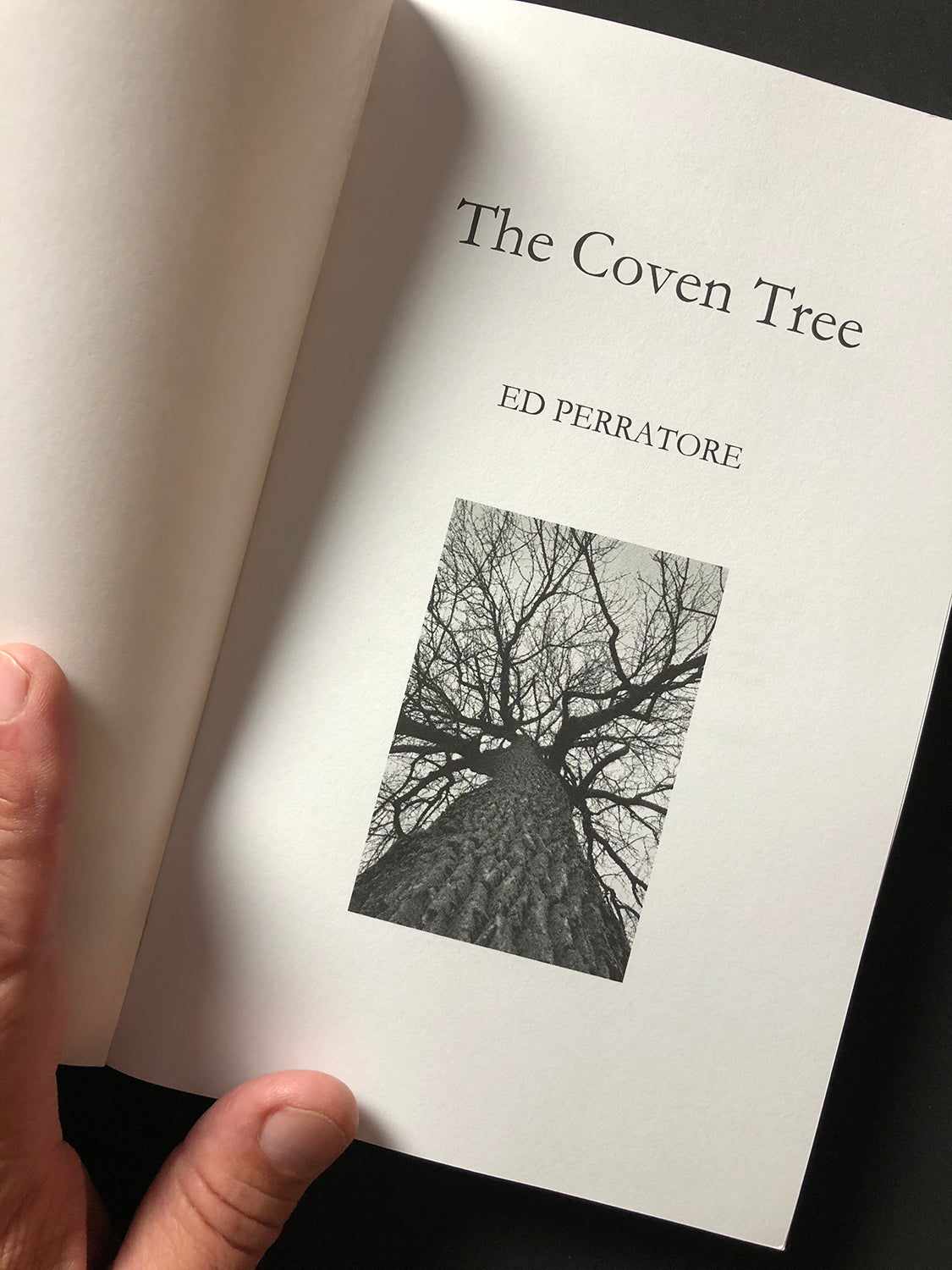 Keith Dotson's photograph of a giant cottonwood tree in winter as seen on the cover page of The Coven Tree written by Ed Perratore.