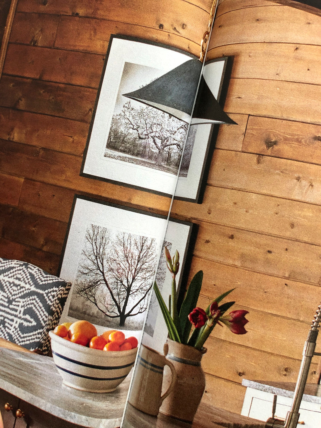 A spread for Cozy Cabins & Retreats shows two Keith Dotson landscape photographs. Interior design by Lisa Hilderbrand. Photographs by John Bessler.