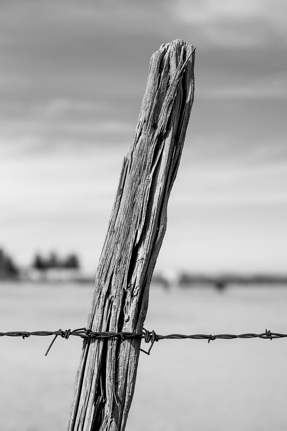 Fence Post with Barbed Wire: Black and White Landscape Photograph by Keith Dotson. Buy a print.