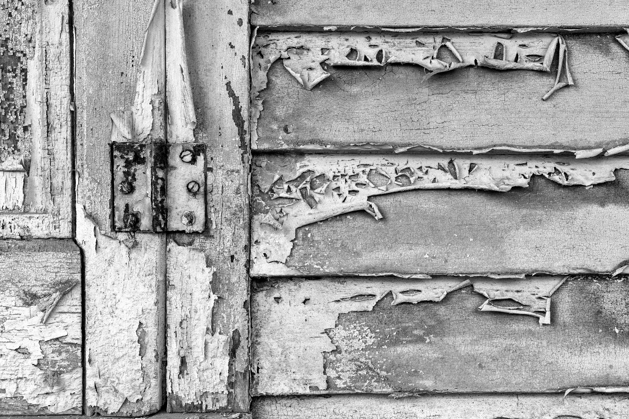 Peeling Paint in an Old Mercantile Store: Black and White Photograph by Keith Dotson. Click to buy a fine art print.