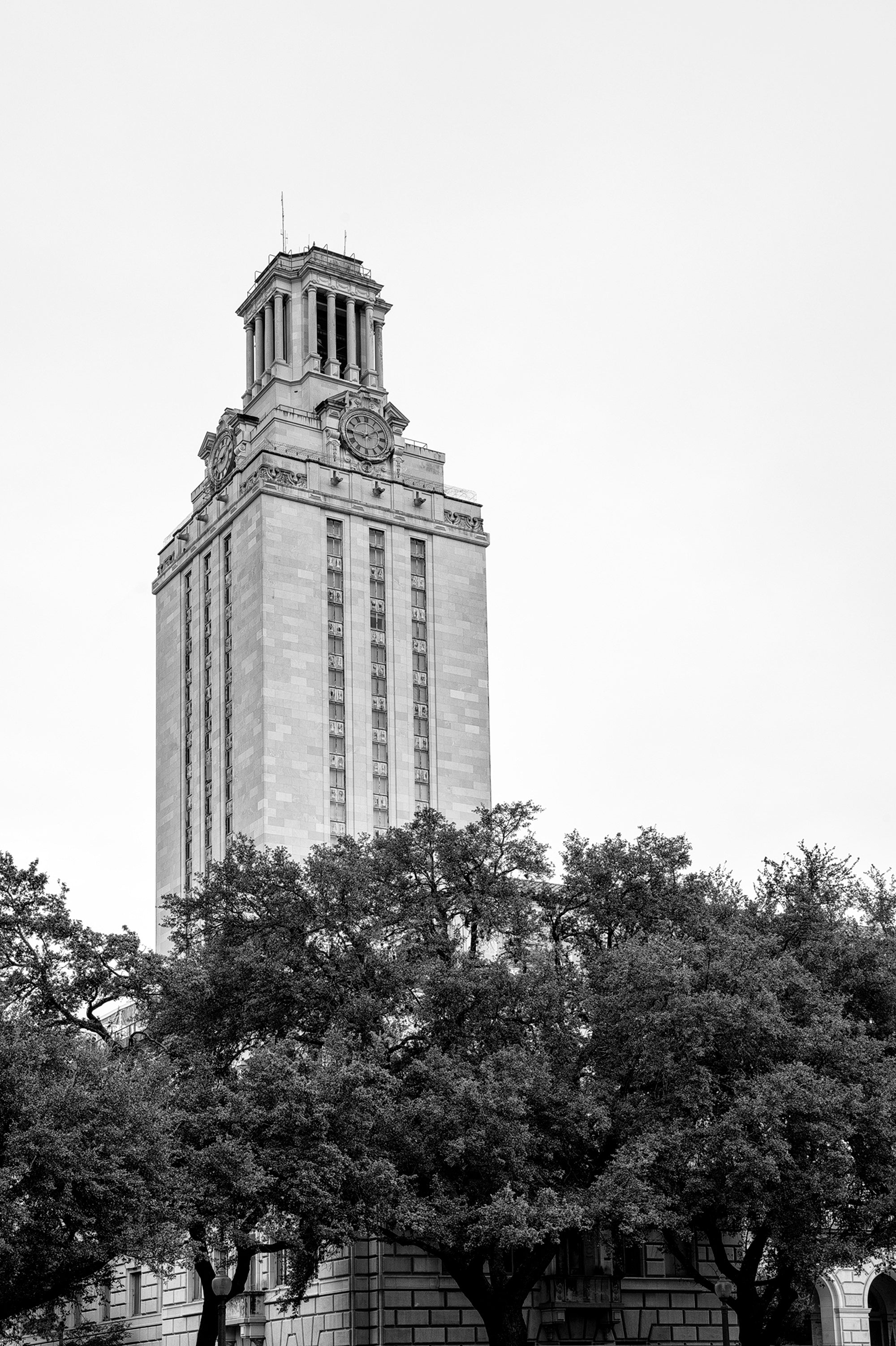 Trees Around the Base of the Tower at UT Austin - Black and White Photograph by Keith Dotson. Buy a fine art print.