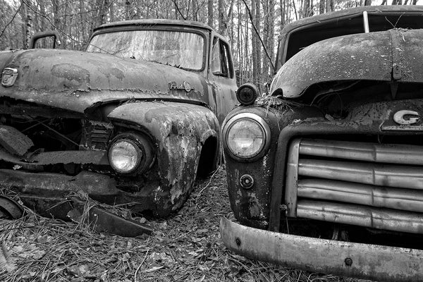 Classic Antique Automobiles Rusting In The Forest Keith