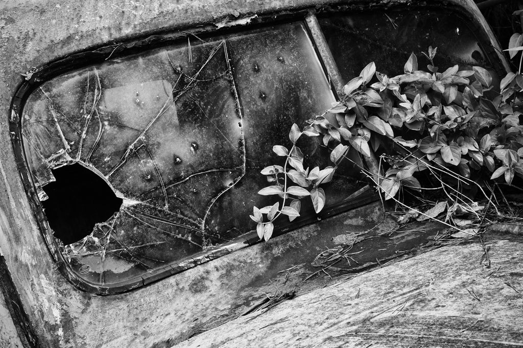 Broken Windshield on an Abandoned Antique Truck Found in a Ditch - B&W ...
